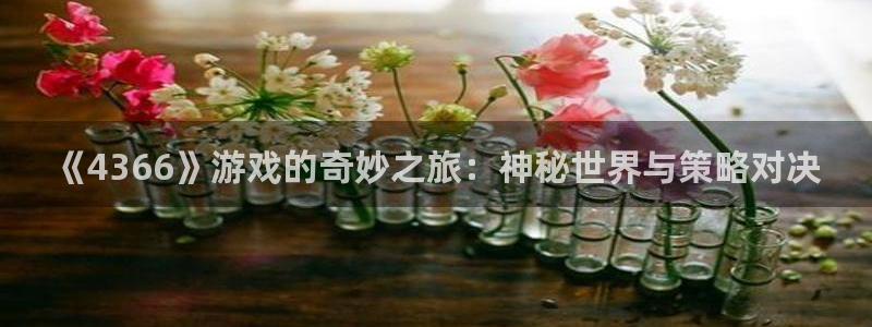 j9·九游会游戏中国官方网站：《4366》游戏的奇妙之旅：神